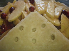 3068817604_cb626ddfa2_m.jpg
