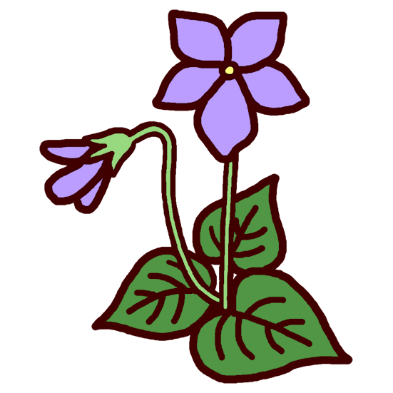 すみれ スミレ カラー 春 花 植物の無料イラスト ミニカット クリップアート素材