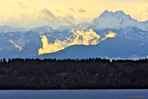Snow Is Back by Seattle Daily Photo