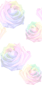 薔薇の花 レインボーローズ のイラスト 条件付フリー素材集