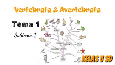 kelas  tema  subtema  hewan vertebrata  avertebrata youtube