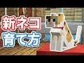 √完了しました！ マイク�� 猫 290517-マイクラ 猫 ついてこない