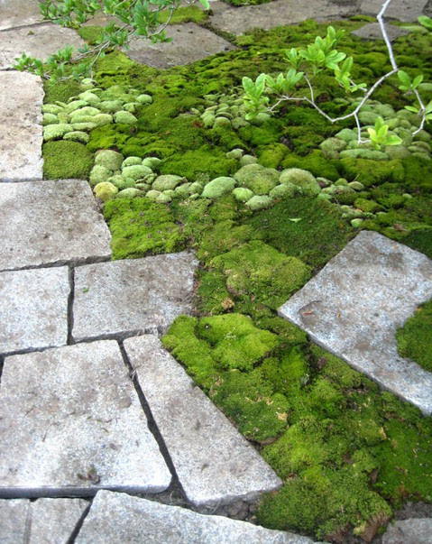 Diy Plans Garden Table/page/122 | Search Results | The Way Home Store