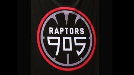 raptors-905 logo-062915-620