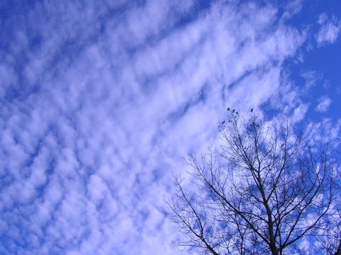 download pertemuan di awan biru
