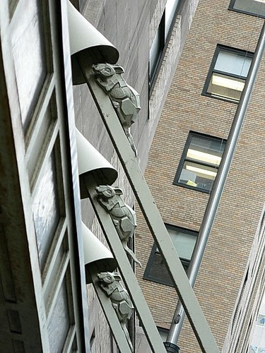 Rats, New York