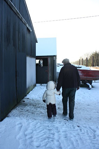 newtown snow walk