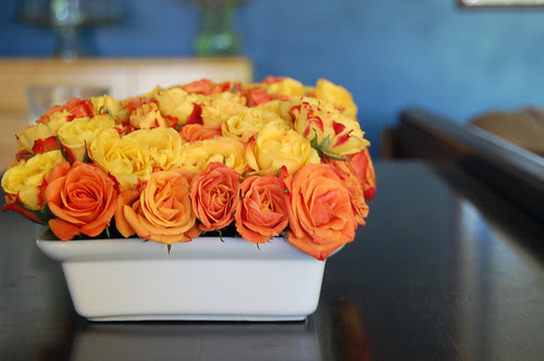 low roses