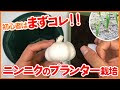 無料ダウンロード ニンニク 花芽 時期 342673-ニンニク 花芽 時期