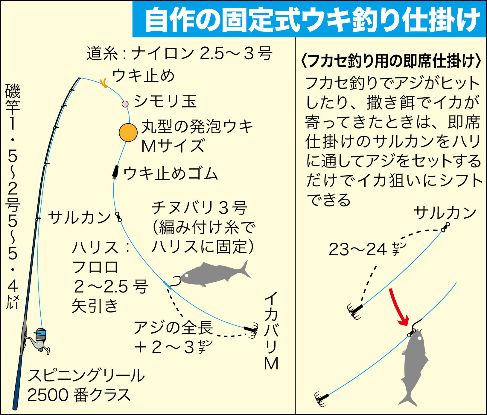 アオリイカ 晩秋 初冬のウキ釣り講座 関西のつりweb 釣りの総合情報メディアmeme