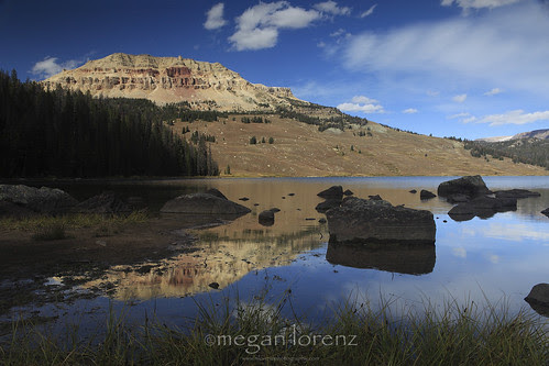 Shoshone Reflections by Megan Lorenz