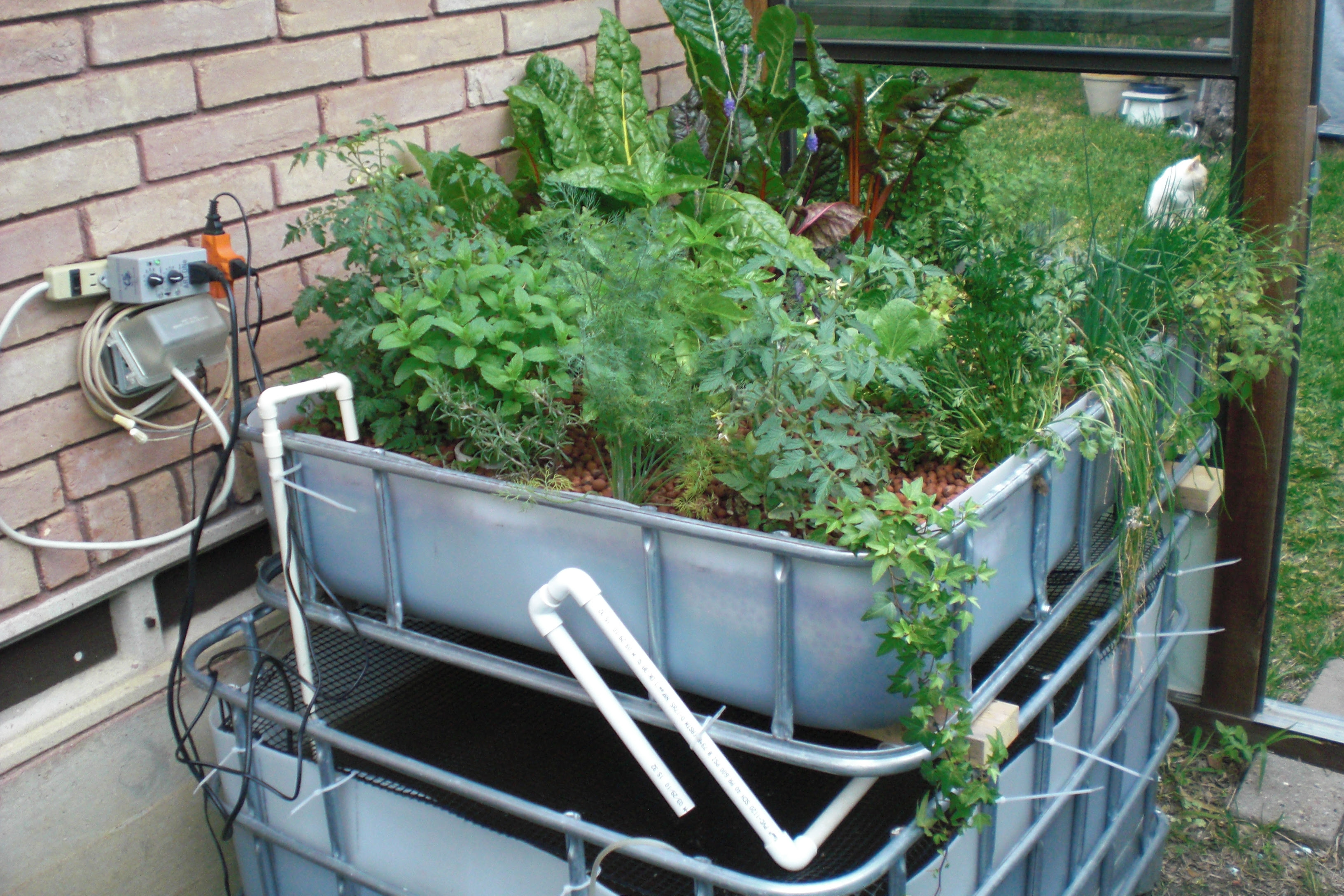 Simple aquaponics system: How to grow tomatoes in aquaponics Diy