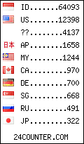 visitors by country counter