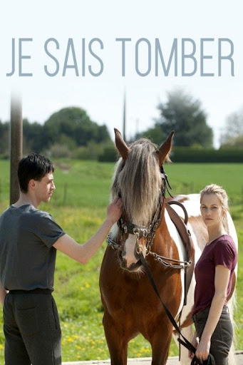 Kép