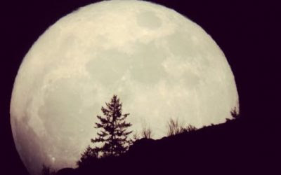 خواطر احزان منتصف الليل الجميلة