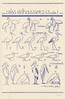 les animaux 35