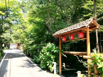 自然のクーラー そしてレフ板 京都 貴船 川床ランチ インテリアコーディネーター小林由梨奈のブログ