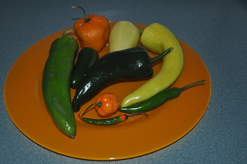piments (1)