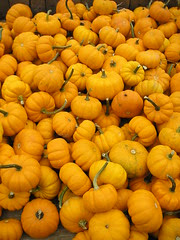 An October Farm Day! 7