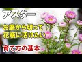 お花 の 育て 方 214092