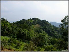 DSC06626