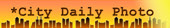CDPB Logo