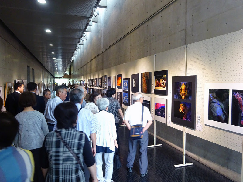 新潟県美術展覧会 県展 長岡展が7月11日まで開催中 長岡造形大学で初開催 森民夫のほっと一息