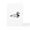Canvasback Line Art card