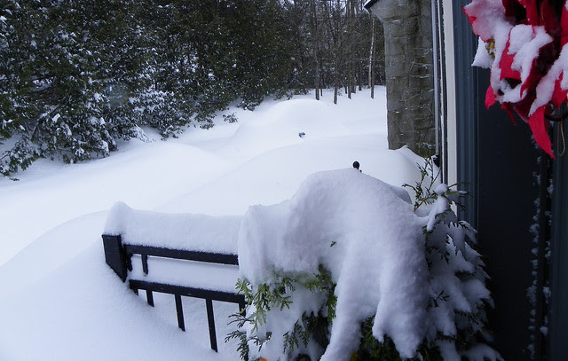 Where's the car????