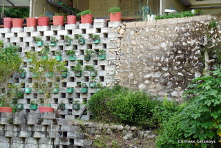 the-masters-garden-benguet.jpg