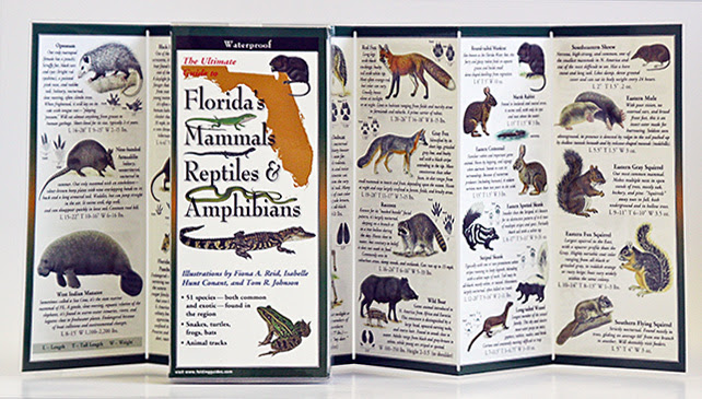 Tm Folding Guides And Posters Your Source For Quick