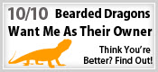 The Bearded Dragon