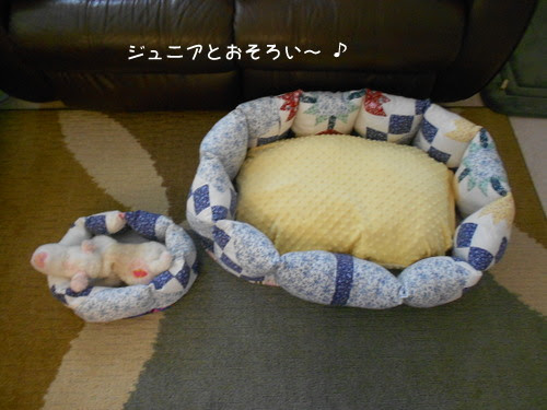 シロの日記 ワンコベットの作り方