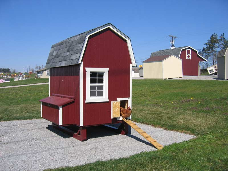Gambrel Barn Chicken Coop | ShedsNashville.com