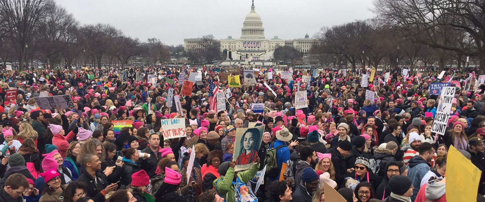 Image result for women's march