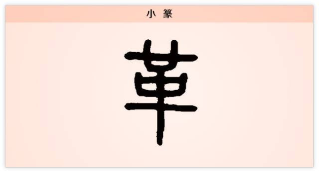 汉字解读 每日一字 革 不因不生 不革不成 书画5000年 书法国画艺术