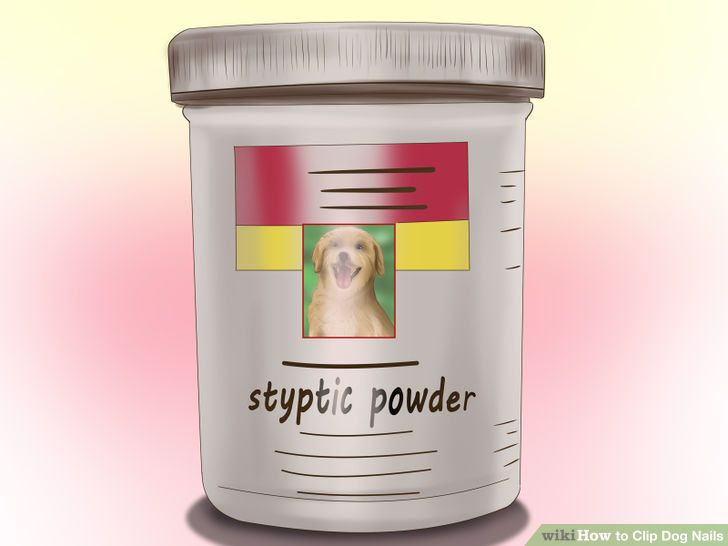 Clip Dog Nails Step 14.jpg