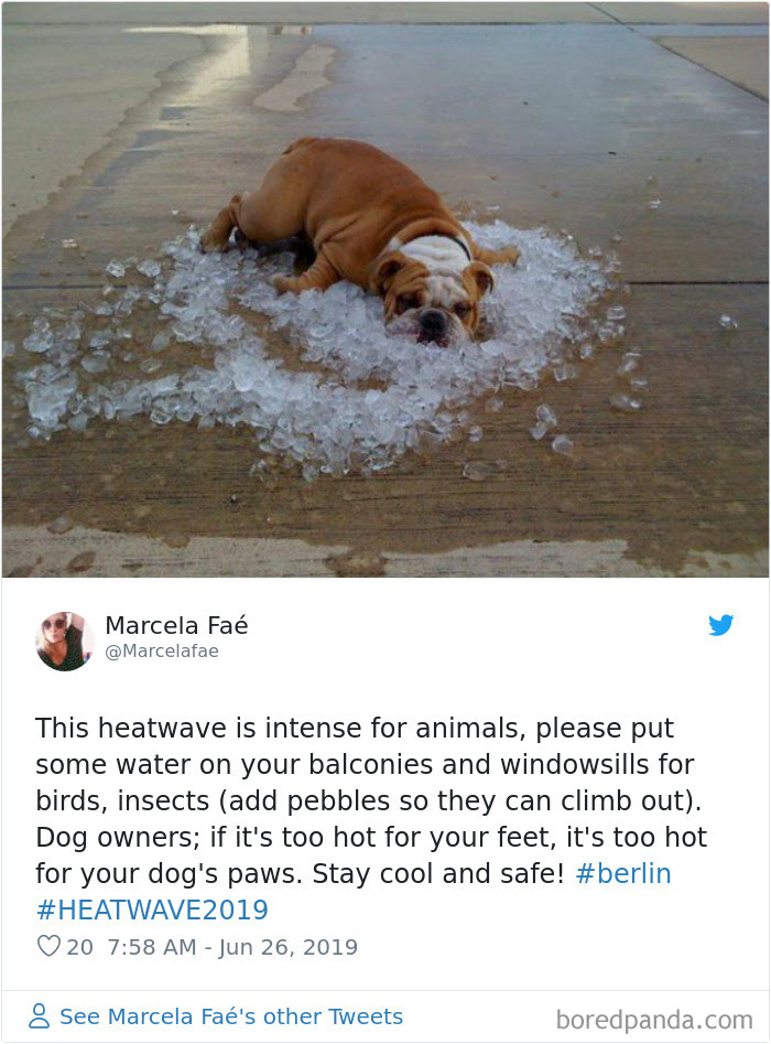 Europe-Hot-Weather-Summer-Heatwave-2019