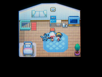 ポケモンとの絆 王冠輝く 色違いブラッキー編 有栖のポケモン日記