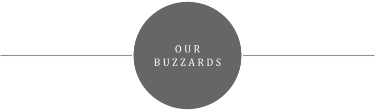 HEADER BLOG TITLE