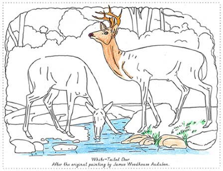 Example of a coloring page, in progress. Click Here to Order.