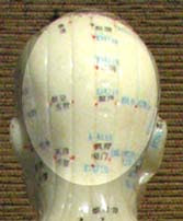 Menu For Back Of Head