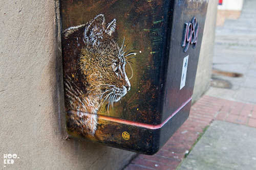 French street artist C215's cat stencil work pictured in East London