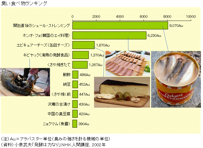 図録 臭い食べ物ランキング