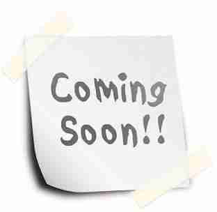 Perodua 2008 MYVI SXI GOLD. car for sale