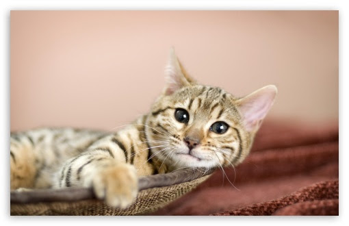 relax wallpaper. Relaxing wallpaper for Wide