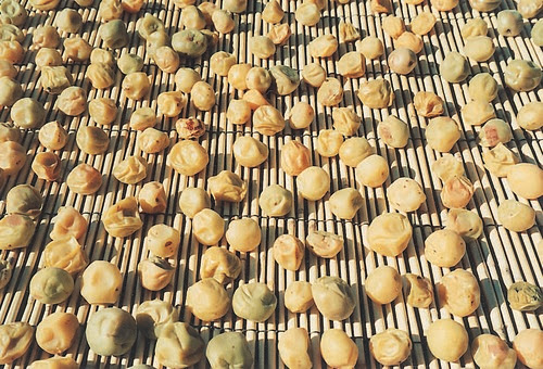 love sanae - umeplum drying inside page 163