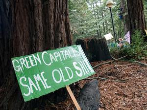 πράσινος καπιταλισμός