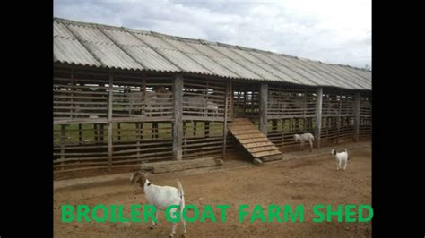 goat farm layout design