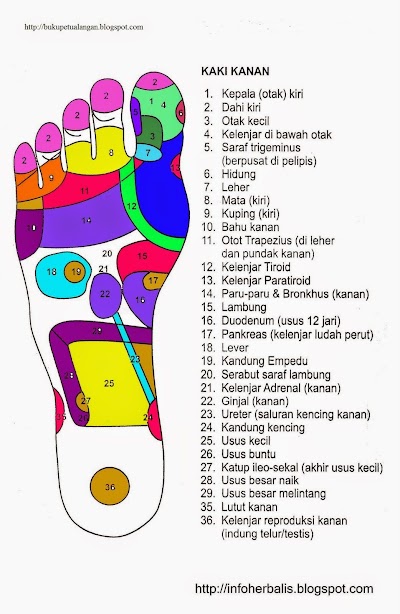 Good Health And Wellbeing Adalah